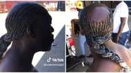 Video of bald man rocking braided hairdo leaves internet users amused: "I blame stylist"