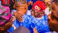 2023 presidency: Fayose congratulates Tinubu, sends powerful message to Atiku, Obi