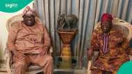Hunger protest: Dele Momodu says Tinubu’s broadcast speech shocked him, gives reason
