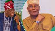 BREAKING: Tinubu responds to Atiku's resignation call, sends notable message to ex-VP