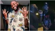 Fans anticipate as video of Davido and Chris Brown dancing to snippet of their unreleased song surfaces