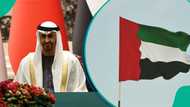 UAE releases 6 simple steps to establish business in Dubai and other emirates, explains process