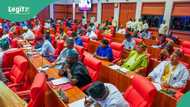 Group slams Nigeria's 10th Senate for stagnation and scandal; warns legacy at risk