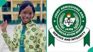 2026 UTME top scorer of Niger state school scores over 330 as 9 others get high marks, results trend