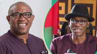 Labour Party crisis: Why I visited Julius Abure in Abuja, Peter Obi opens up