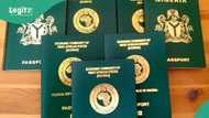 Tinubu's govt increases passport fees, details emerge