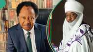 Kano emirate tussle: Shehu Sani makes serious allegation against Emir Sanusi II