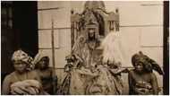 Alaafin stool: Oracle to pick king from 65 aspirants as Ifa consultation set to commence
