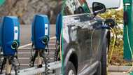 Subsidy removal: Electric vehicle firm set to rival Uber, others