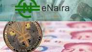 IMF urges Nigerians to trust the eNaira and other Central Bank Digital Currencies because crypto is no match