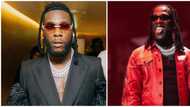 "This one na bluetooth kiss": Moment Burna Boy 'locked lips' with lady who screamed like a child at his show