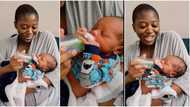 "Wakanda forever": Strong baby born 6 days ago holds feeding bottle by himself, cute video emerges on TiKTok