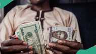 Naira closes at N869.39/$1 in official market, falls further in black market