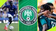 Super Eagles set to welcome new additions as NFF draw up scouting shortlist: report