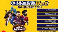 Top details about the amazing Wakabet NG: how to register & play