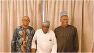 2023: Atiku, Tinubu face big threat as former President Obasanjo hosts Peter Obi, Baba-Ahmed