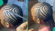 Funny video trends as hairdresser mistakenly leaves out few strands of hair while braiding