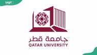 Qatar University scholarship options for Nigerian students and what to know
