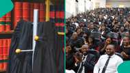 SAN appointments 2025: Complete list of 57 honourees announced