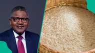 Dangote begins distributing bags of rice, names those to benefit
