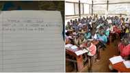 Even I as a graduate can't answer it, lady says as she shares 'hard' homework on Russia pry 3 pupil was given