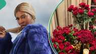 "Thank u whoever did this": Tiwa Savage meets her house fully decorated with roses on Val's Day