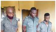 Payback time as police in Ogun sacks high-ranking officers for extortion, releases names, photos