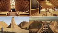 Social media reacts to design for proposed school in Malawi as architectural brilliance lights up the internet