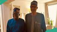 2023 Presidency: How Buhari reacted to Tinubu’s ‘Emi Lokan’ speech, Adesina speaks