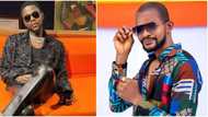 If you want to smell Grammy next year, avoid any Yoruba actress' daughter: Uche Maduagwu warns Kizz Daniel