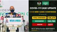 Coronavirus: Anxiety as Nigeria records highest daily COVID-19 deaths in 7 months