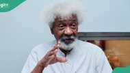 Over 80 Nigerian schools set to honour Wole Soyinka at 90, details emerge