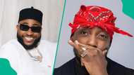 Davido vs B-Red: Lady defends OBO as fans debate his father's wealth and his success