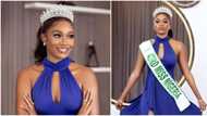 “Her name is not on the roll of lawyers”: NBA disowns disqualified BBNaija housemate Beauty, Nigerians react