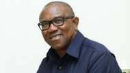 Abubuwan Da Ya Kamata Ku Sani a Tarihin Rayuwar Dan Takarar Shugaban Kasa Na LP, Peter Obi