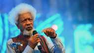 Stop being timid, Soyinka sends tough message to governors