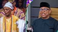 Olubadan: What Ladoja told me about Peter Obi calling him "my dear brother", Professor speaks