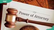 Power of Attorney for property: what it is and how to go about it in Nigeria