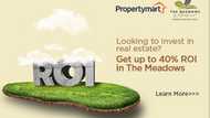 The Meadows by PropertyMart Set to Deliver 40% ROI to Early Investors