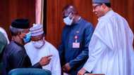 Rebellion against Buhari? Why Osinbajo is accused of being docile - Keyamo reveals