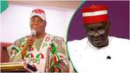 Certificate fraud: Kwankwaso to join Atiku in removing Tinubu? NNPP makes stern statement