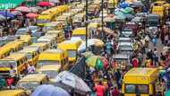 Nigerian economy grows at fastest pace in 5 years, list of 10 best perfoming sectors
