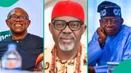 Attack on Peter Obi, others: Anambra ex-ADC deputy gov candidate sends strong message to Tinubu