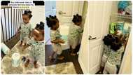"What is my offense?": Mother of twin boys shows hilarious mischief they were onto while away