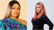 BBNaija: Beatrice evicted, becomes 1st female housemate to leave, follows Yerin and Niyi