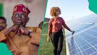 Nigeria's solar panel importation declines as FG insists on ban