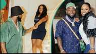 Chivido 2024: Old video of Davido teasing Chioma with fake proposal surfaces, "She dey whine am"