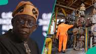 OPEC oil output declines in January as Nigeria, Iran post largest drop in crude production
