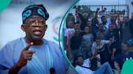 'Frustration isn’t enough': Analyst explains how to rescue Nigeria’s future