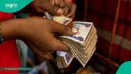 Nigerian stock market value rises by N1.5trn in one week
